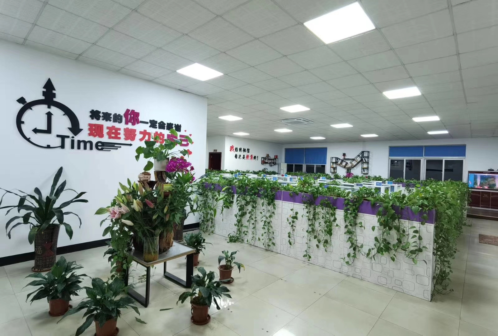 完美体育官方网站